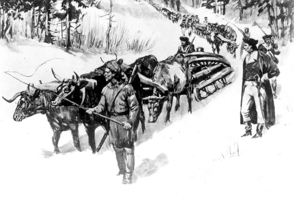 Oxen hauling a cannon on a sledge through snow, an illustration of the Knox expedition